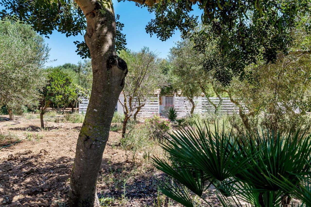 Casita Estudio El Castano Эль-Пальмар Экстерьер фото